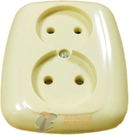 Розетка РС 10-010 2СП белая /90